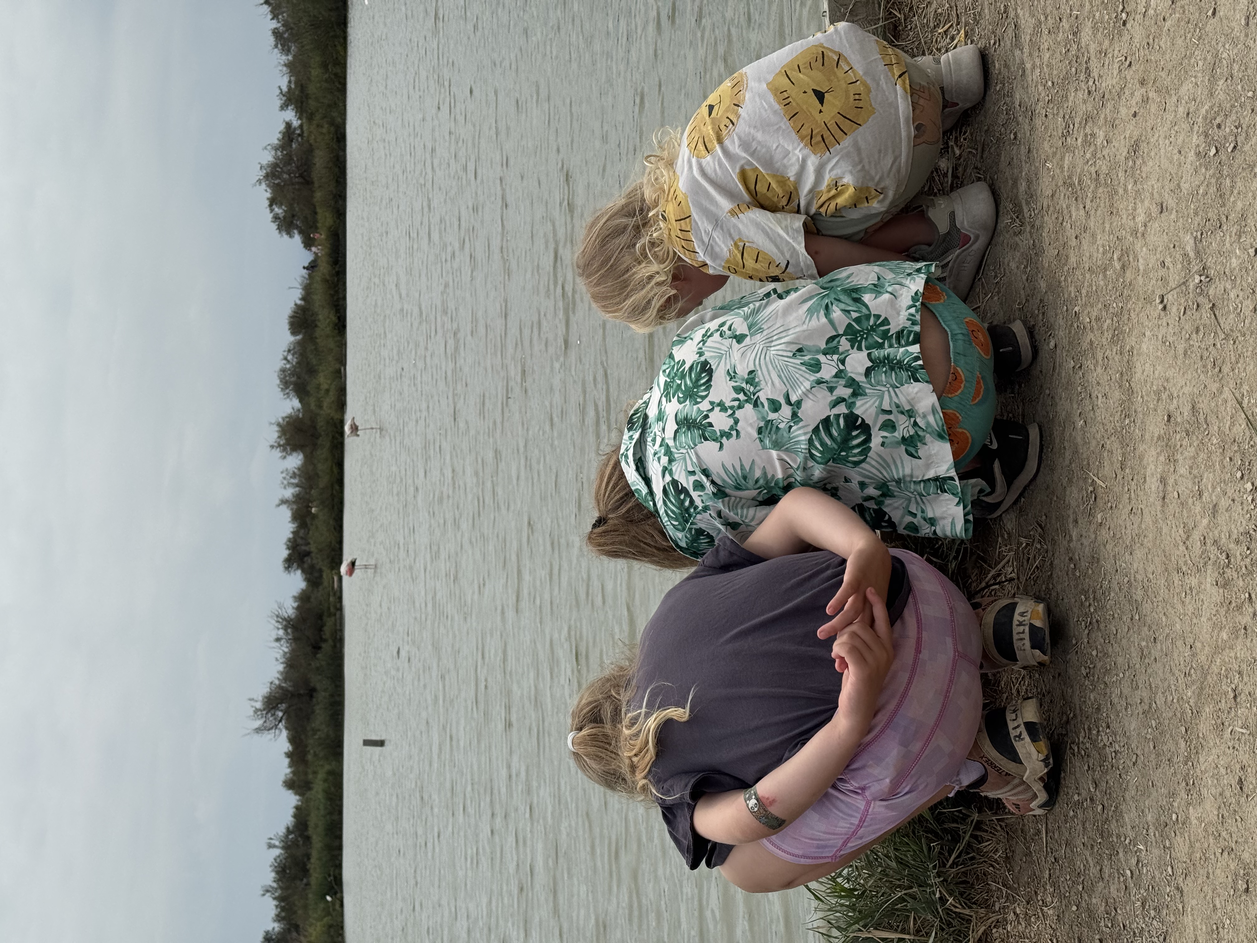 My three kids crouched at the edge of a lake, watching flamingos.